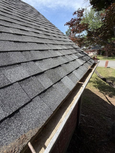 Clean shingles and clear gutter after seasonal cleanup